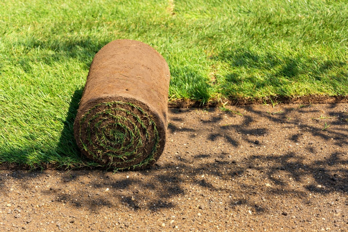 Turf preparation and installation